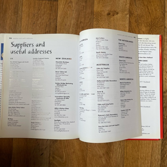 Naughty Cakes Debbie Brown Step by step recipes for 19 fabulous, fun cakes 2005 - Picture 9 of 10